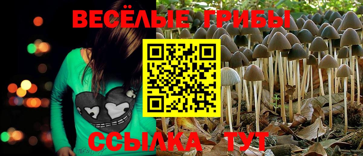 Галлюциногенные грибы ЛСД  Вход с VPN  Бахчисарай 