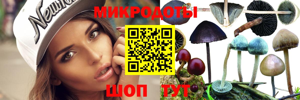Галлюциногенные грибы ЛСД Бахчисарай
